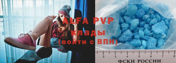 амф Бородино