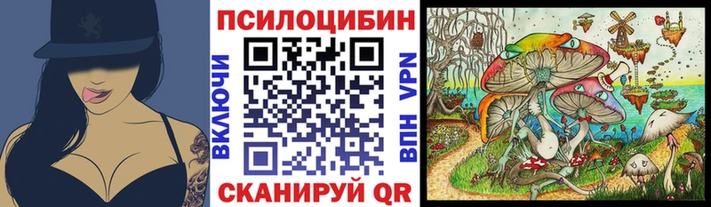 Купить  Мезень  Псилоцибиновые грибы прущие грибы 